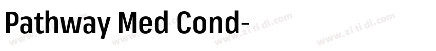 Pathway Med Cond字体转换 Pathway Med Cond字体转换